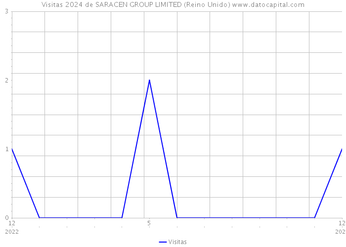 Visitas 2024 de SARACEN GROUP LIMITED (Reino Unido) 