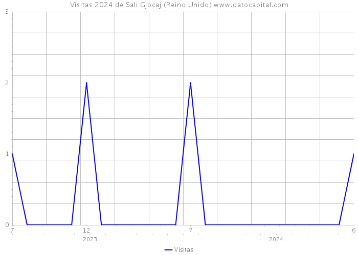 Visitas 2024 de Sali Gjocaj (Reino Unido) 