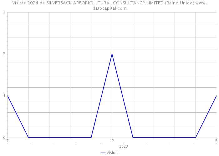 Visitas 2024 de SILVERBACK ARBORICULTURAL CONSULTANCY LIMITED (Reino Unido) 