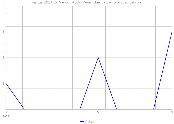 Visitas 2024 de MARK KALER (Reino Unido) 