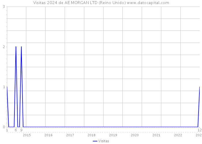 Visitas 2024 de AE MORGAN LTD (Reino Unido) 