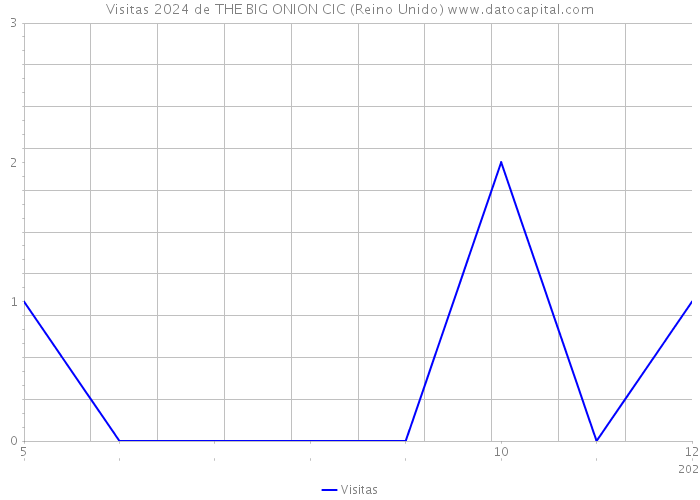 Visitas 2024 de THE BIG ONION CIC (Reino Unido) 