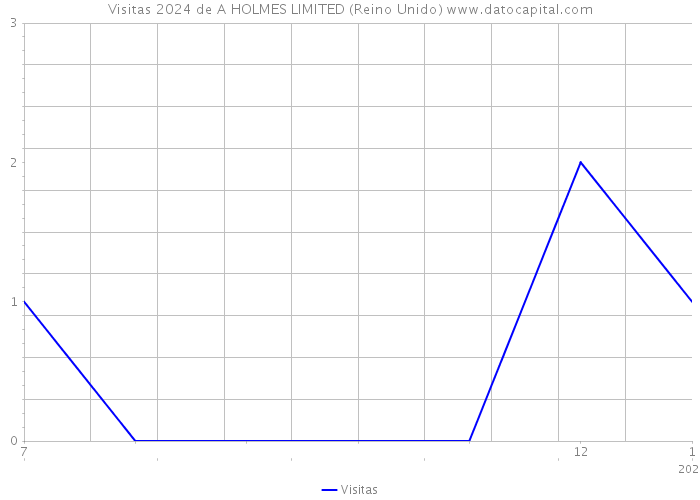 Visitas 2024 de A HOLMES LIMITED (Reino Unido) 