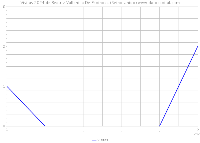 Visitas 2024 de Beatriz Vallenilla De Espinosa (Reino Unido) 