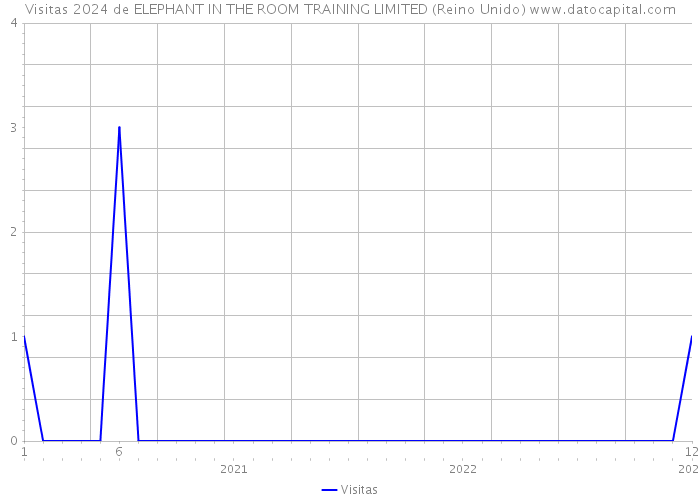 Visitas 2024 de ELEPHANT IN THE ROOM TRAINING LIMITED (Reino Unido) 