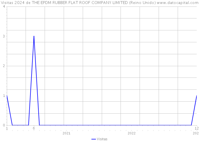 Visitas 2024 de THE EPDM RUBBER FLAT ROOF COMPANY LIMITED (Reino Unido) 