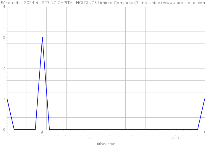 Búsquedas 2024 de SPRING CAPITAL HOLDINGS Limited Company (Reino Unido) 