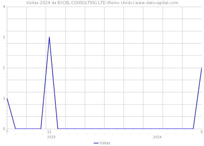 Visitas 2024 de EXCEL CONSULTING LTD (Reino Unido) 