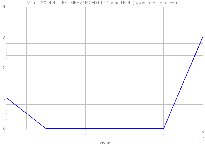 Visitas 2024 de LIFETIMEMANAGED LTD (Reino Unido) 