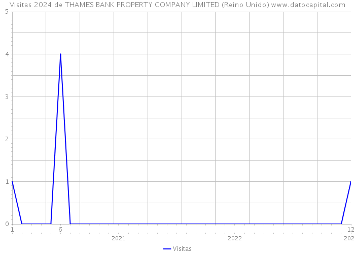 Visitas 2024 de THAMES BANK PROPERTY COMPANY LIMITED (Reino Unido) 