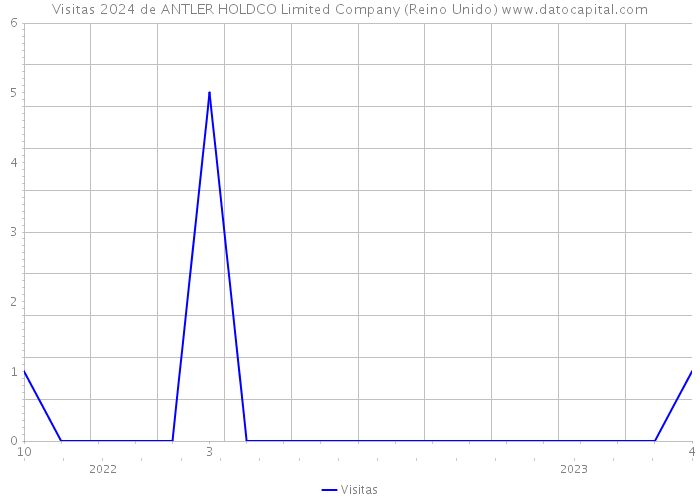 Visitas 2024 de ANTLER HOLDCO Limited Company (Reino Unido) 