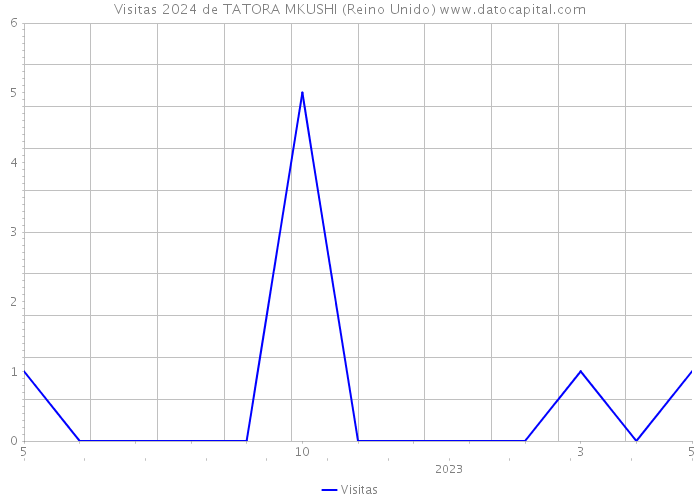 Visitas 2024 de TATORA MKUSHI (Reino Unido) 