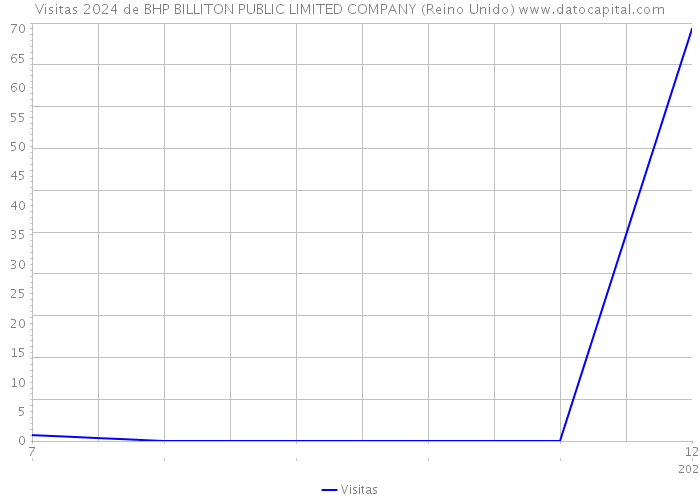 Visitas 2024 de BHP BILLITON PUBLIC LIMITED COMPANY (Reino Unido) 