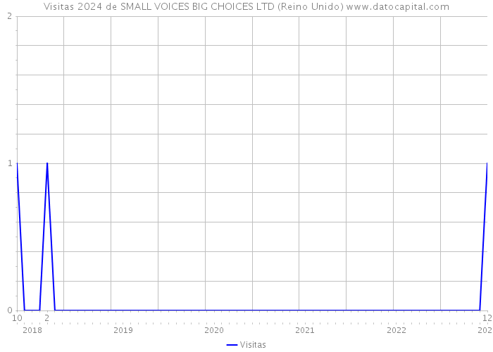 Visitas 2024 de SMALL VOICES BIG CHOICES LTD (Reino Unido) 