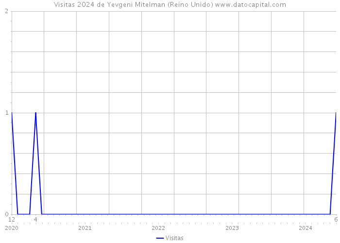 Visitas 2024 de Yevgeni Mitelman (Reino Unido) 