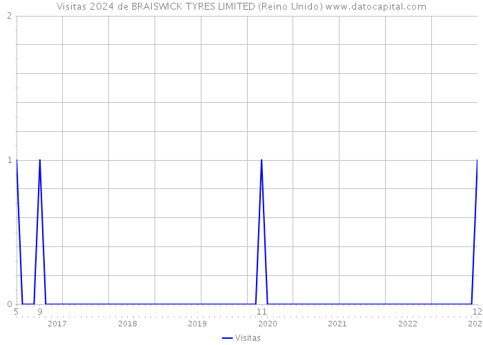 Visitas 2024 de BRAISWICK TYRES LIMITED (Reino Unido) 