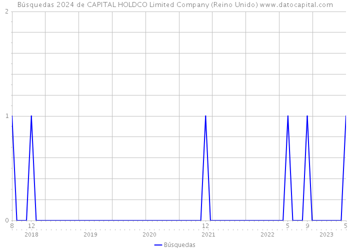 Búsquedas 2024 de CAPITAL HOLDCO Limited Company (Reino Unido) 