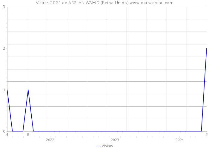 Visitas 2024 de ARSLAN WAHID (Reino Unido) 