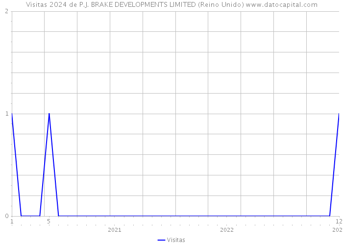 Visitas 2024 de P.J. BRAKE DEVELOPMENTS LIMITED (Reino Unido) 