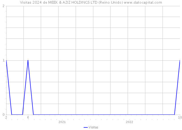 Visitas 2024 de MEEK & AZIZ HOLDINGS LTD (Reino Unido) 