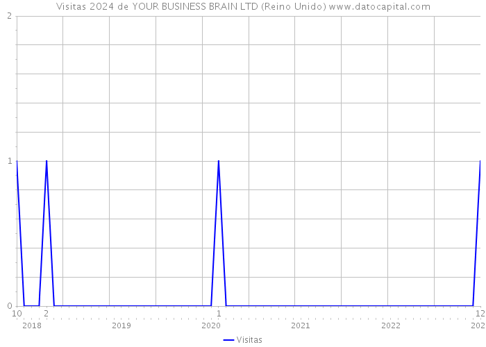 Visitas 2024 de YOUR BUSINESS BRAIN LTD (Reino Unido) 