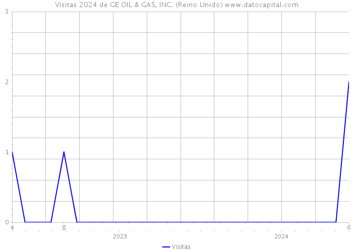 Visitas 2024 de GE OIL & GAS, INC. (Reino Unido) 