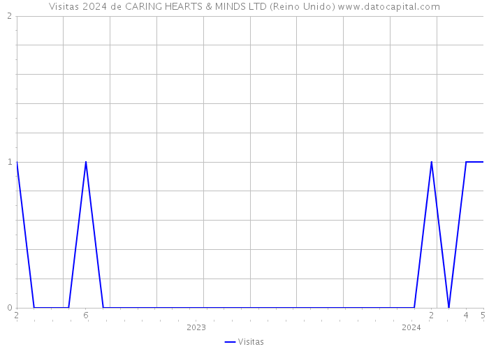 Visitas 2024 de CARING HEARTS & MINDS LTD (Reino Unido) 