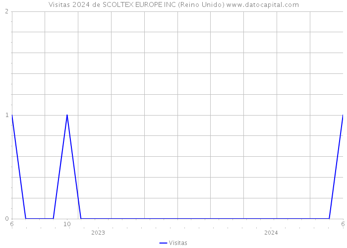 Visitas 2024 de SCOLTEX EUROPE INC (Reino Unido) 