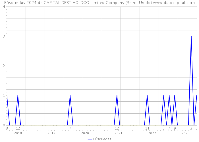Búsquedas 2024 de CAPITAL DEBT HOLDCO Limited Company (Reino Unido) 