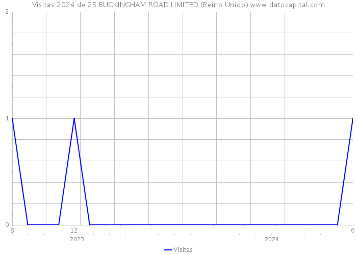 Visitas 2024 de 25 BUCKINGHAM ROAD LIMITED (Reino Unido) 