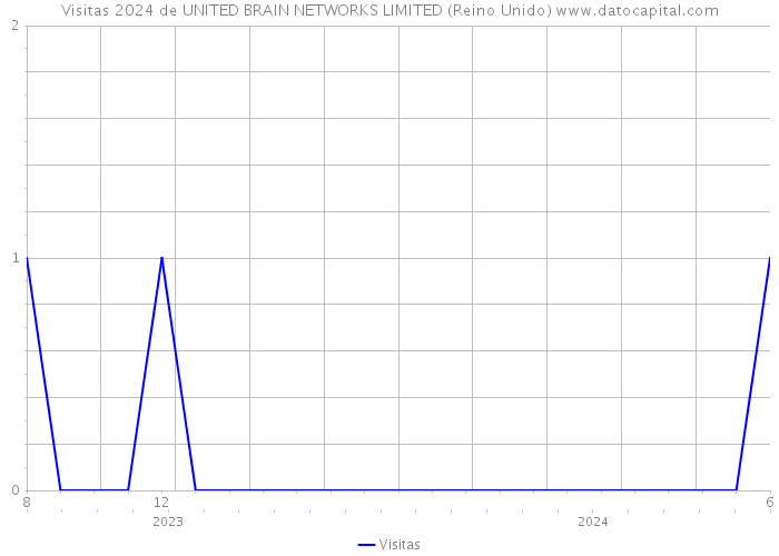 Visitas 2024 de UNITED BRAIN NETWORKS LIMITED (Reino Unido) 