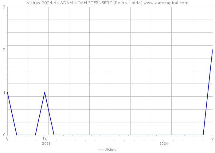 Visitas 2024 de ADAM NOAH STERNBERG (Reino Unido) 