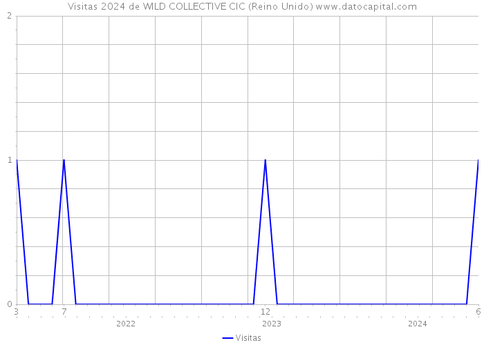 Visitas 2024 de WILD COLLECTIVE CIC (Reino Unido) 