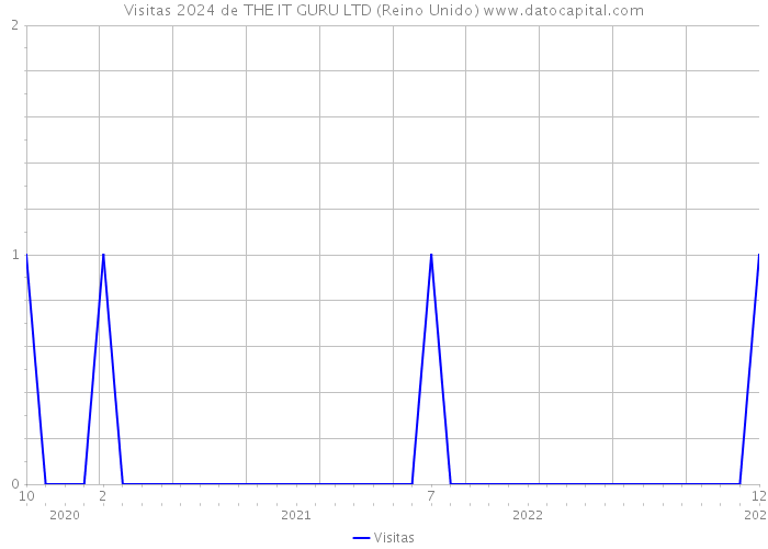 Visitas 2024 de THE IT GURU LTD (Reino Unido) 