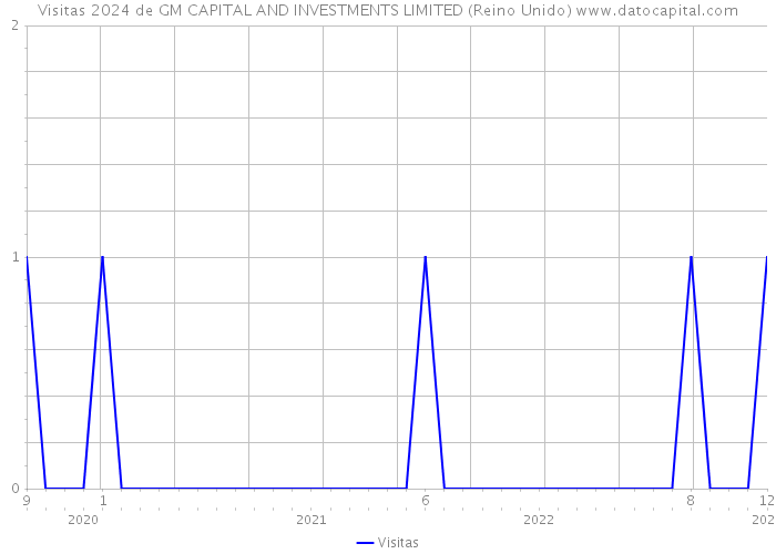 Visitas 2024 de GM CAPITAL AND INVESTMENTS LIMITED (Reino Unido) 
