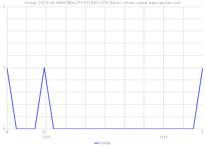 Visitas 2024 de HAIR BEAUTY STUDIO LTD (Reino Unido) 