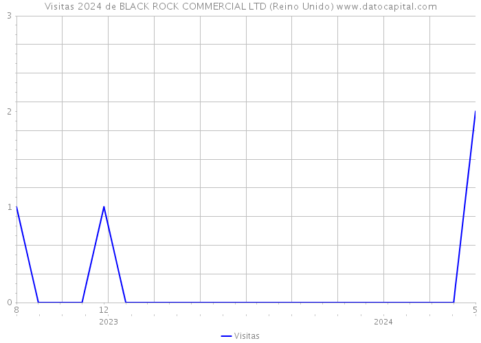 Visitas 2024 de BLACK ROCK COMMERCIAL LTD (Reino Unido) 