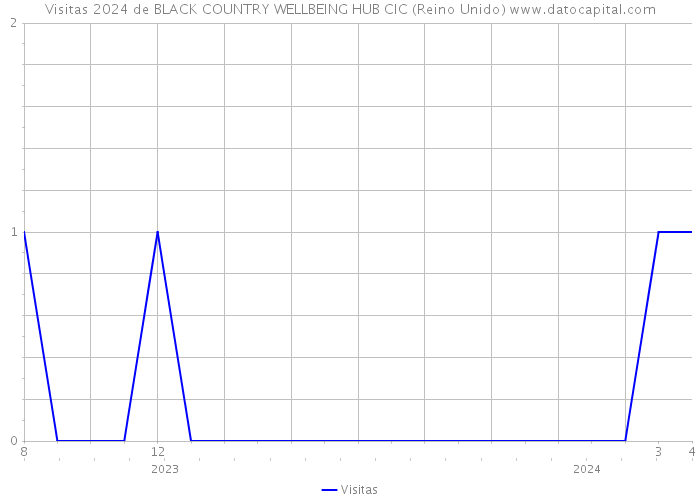 Visitas 2024 de BLACK COUNTRY WELLBEING HUB CIC (Reino Unido) 