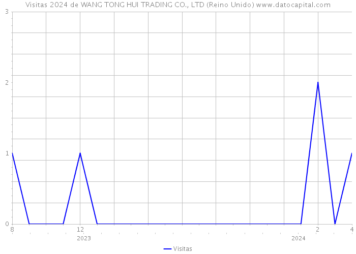 Visitas 2024 de WANG TONG HUI TRADING CO., LTD (Reino Unido) 