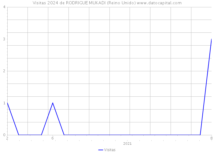 Visitas 2024 de RODRIGUE MUKADI (Reino Unido) 