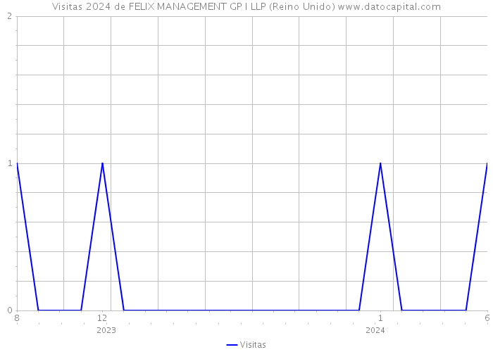 Visitas 2024 de FELIX MANAGEMENT GP I LLP (Reino Unido) 