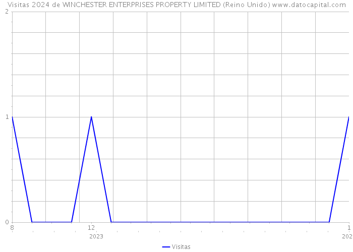 Visitas 2024 de WINCHESTER ENTERPRISES PROPERTY LIMITED (Reino Unido) 