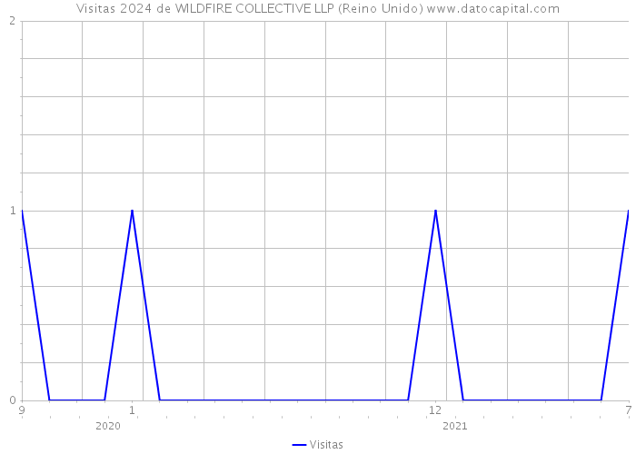 Visitas 2024 de WILDFIRE COLLECTIVE LLP (Reino Unido) 