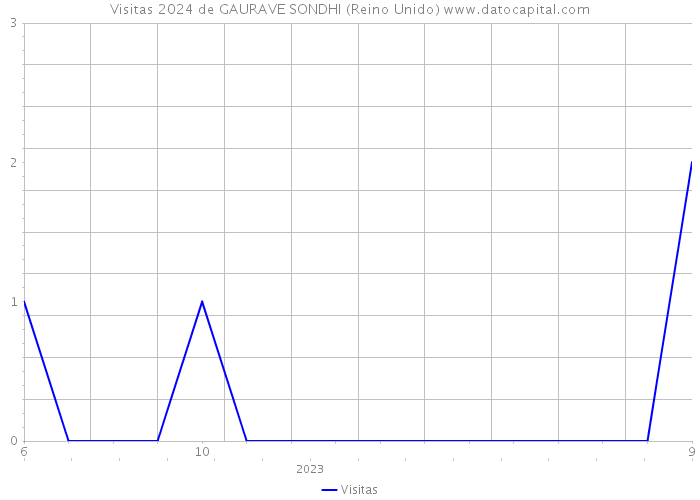 Visitas 2024 de GAURAVE SONDHI (Reino Unido) 