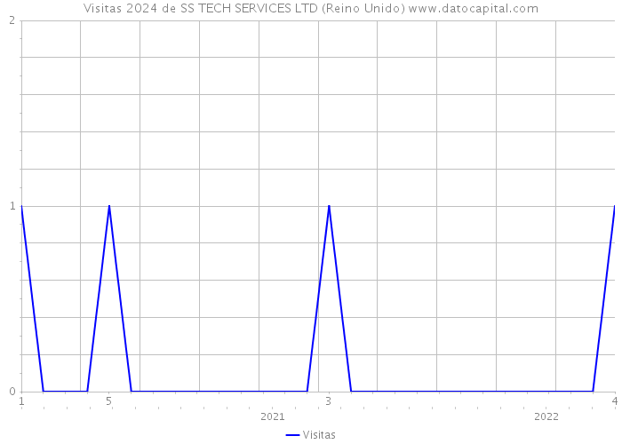 Visitas 2024 de SS TECH SERVICES LTD (Reino Unido) 