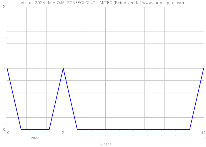 Visitas 2024 de A.O.M. SCAFFOLDING LIMITED (Reino Unido) 
