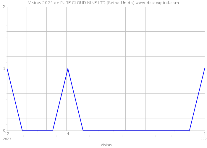 Visitas 2024 de PURE CLOUD NINE LTD (Reino Unido) 