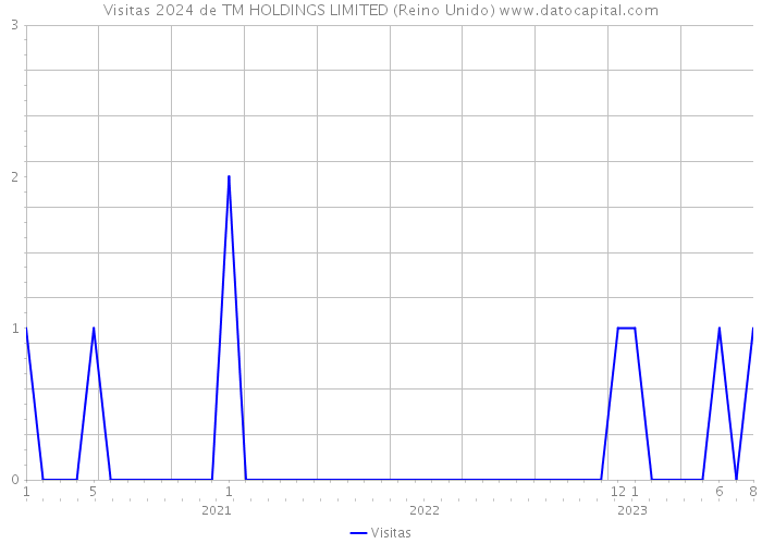 Visitas 2024 de TM HOLDINGS LIMITED (Reino Unido) 