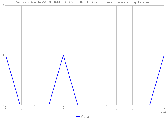 Visitas 2024 de WOODHAM HOLDINGS LIMITED (Reino Unido) 