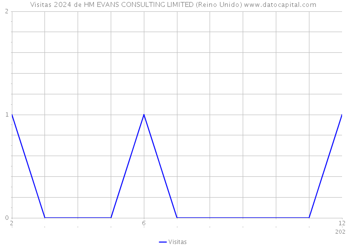 Visitas 2024 de HM EVANS CONSULTING LIMITED (Reino Unido) 